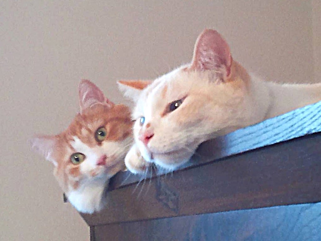 もずくの写真を公開しました